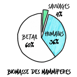 Data et Business Intelligence